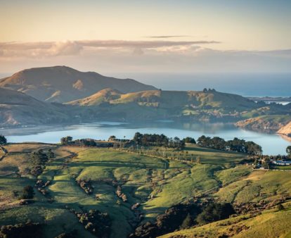 insider guide to New Zealand