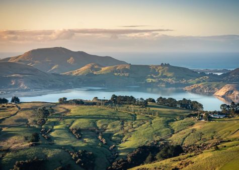 insider guide to New Zealand