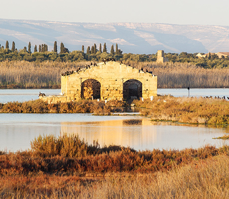 The Great Swamp of Vendicari Nature Reserve in Sicily, Italy