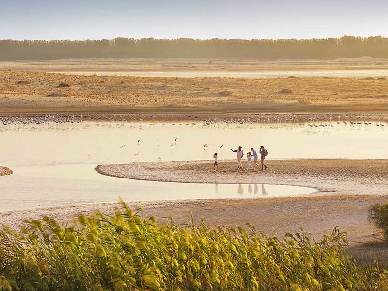 Al Wathba Wetlands, Abu Dhabi