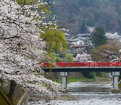 Takayama's old town, Japan
