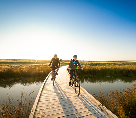 Cycling Takaro Trails, New Zealand