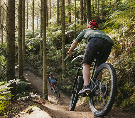 Mountain Bike, Rotorua, New Zealand