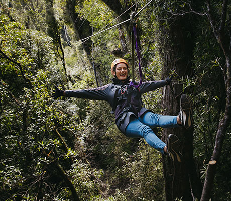 Zipline, Rotorua Canopy Tours, New Zealand