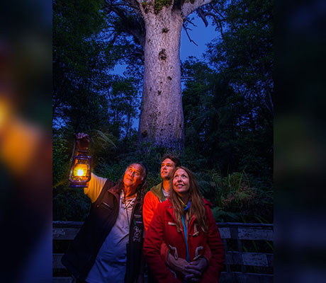 Tane By Candlelight, Footprints Waipoua, New Zealand