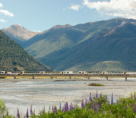 TranzAlpine Crossing Waimakariri River, New Zealand