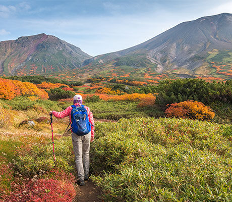 Walking Trail, Mt Nasu, Japan