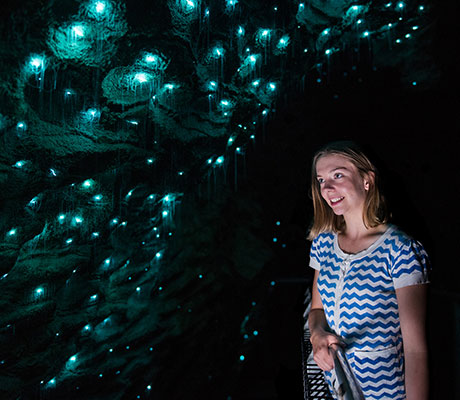 Waitomo Glowworm Caves, Hamilton New Zealand