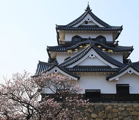 Hikone Castle, Japan
