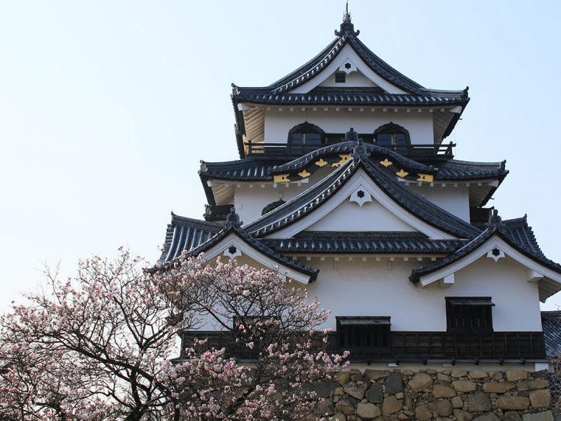 Hikone Castle, Japan
