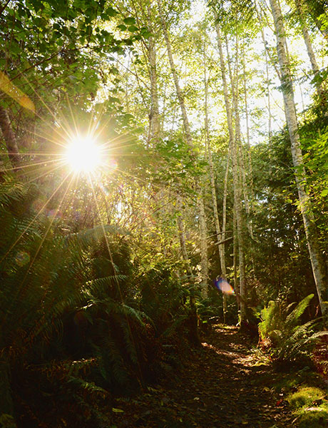 Forest, British Columbia, Canada