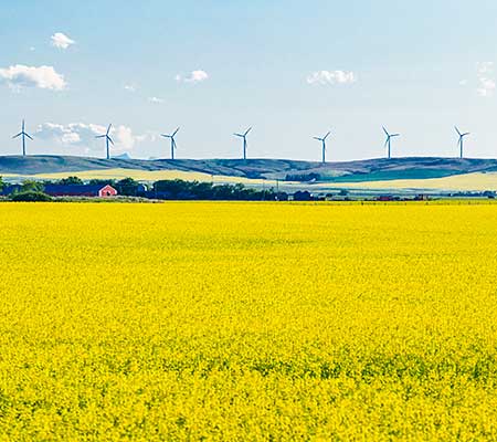 Wind turbines, Canola Canada
