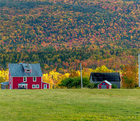 Farm, Nova Scotia, Canada