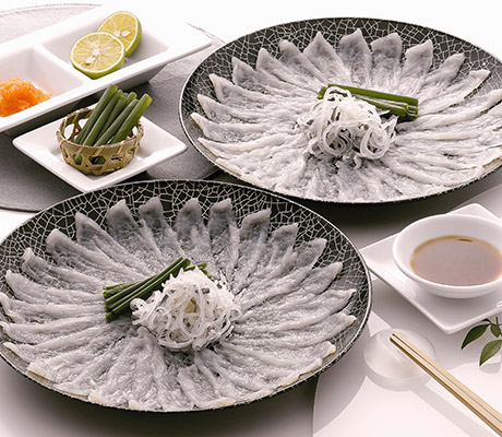 Torafugu sashimi, Japanese food, Japan
