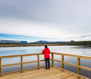 Berry Head Pond, Newfoundland & Labrador, Canada