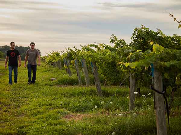 Greg and Yarrick Wertsch, Between the Lines, Niagara, Canada