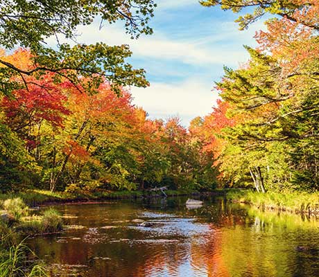 Mersey River, Kejimkujik National Park, Nova Scotia, Canada