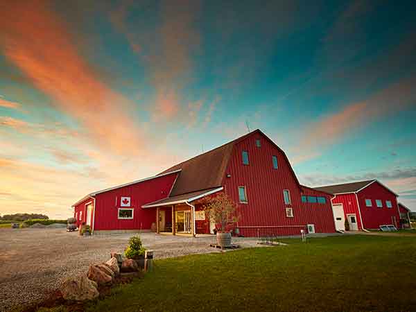 Red barn cellar door Between the Lines, Niagara, Canada