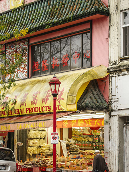 Chinese store, Trade and business, Chinatown Plaza, Vancouver, Canada