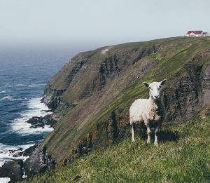 Gros Morne National Park, Newfoundland, Canada