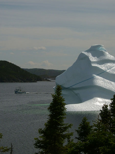 Iceberg alley, Newfoundland and Labrador, Canada