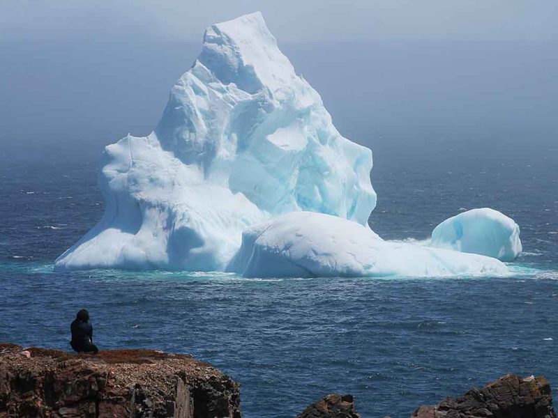 Person Iceberg Alley, Newfoundland Labrador, Canada