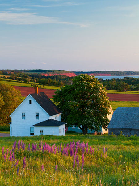 Orwell Cove, Prince Edward Island, Canada