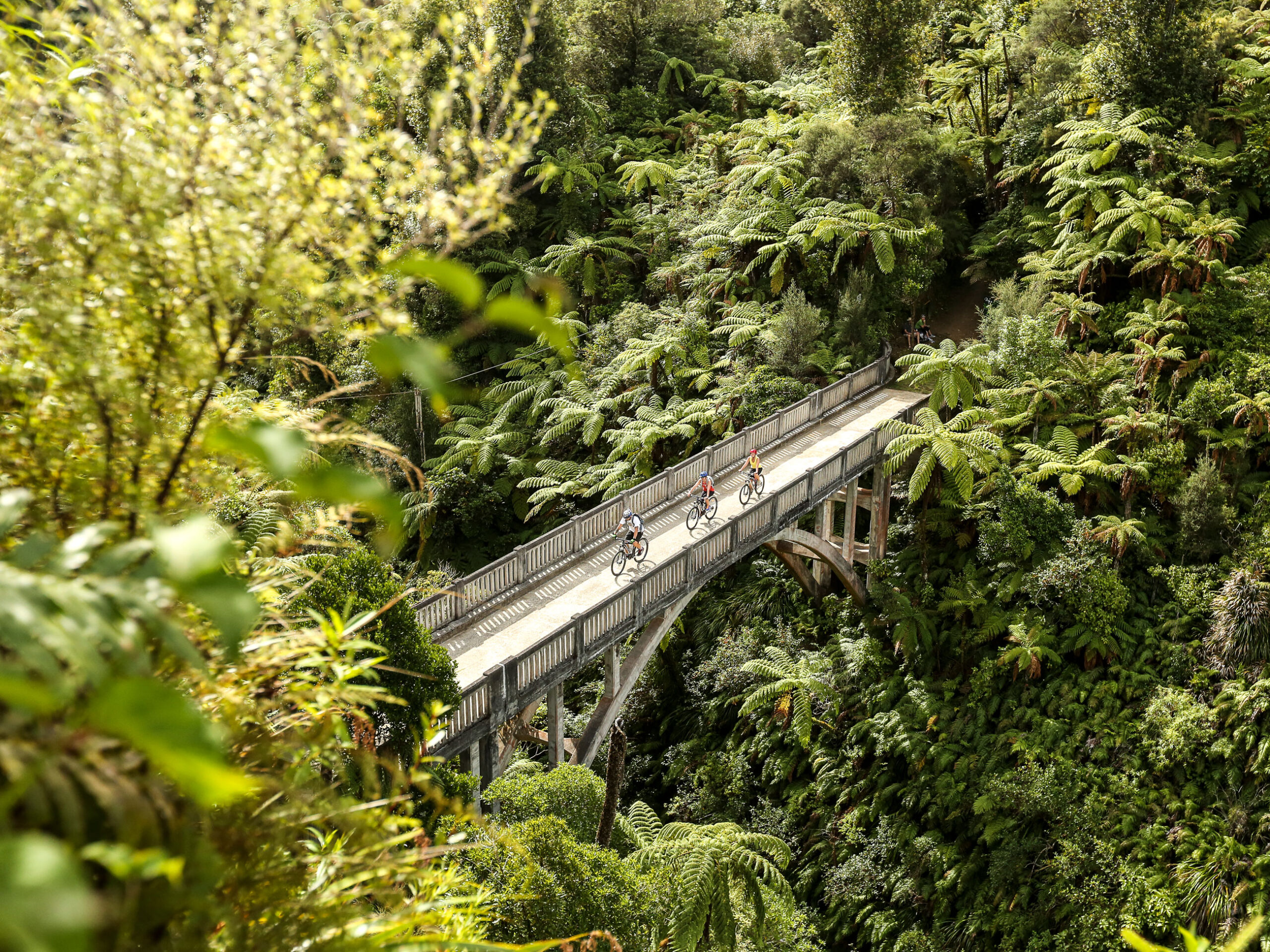 the Bridge To Nowhere from above