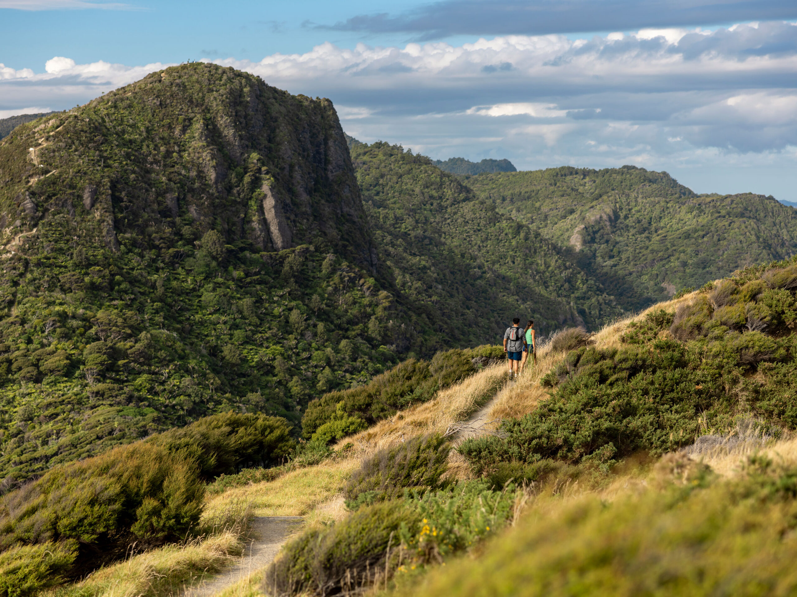 Waitakere Ranges, North Island, New Zealand
