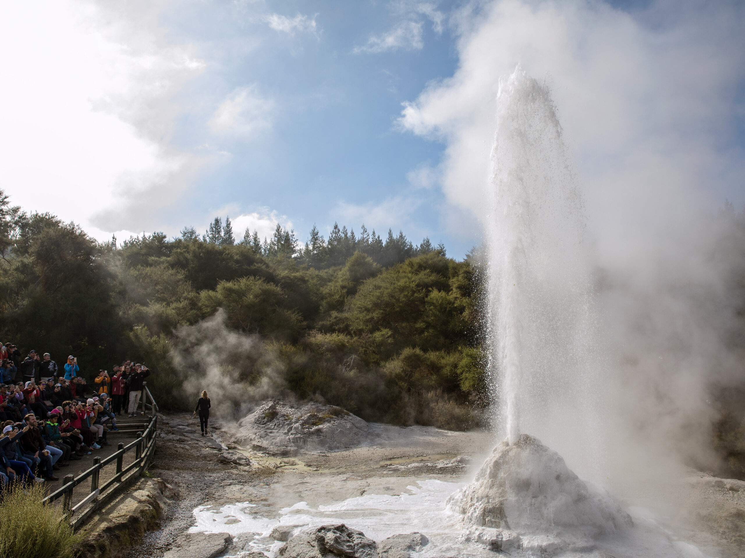 Wai-O-Tapu geothermal waters in New Zealand