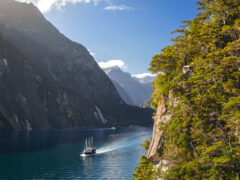 cruising the Milford Sound, South Island, New Zealand