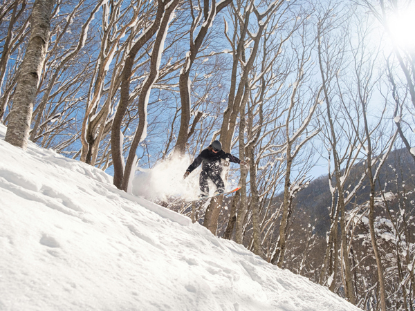 hakuba valley snowboarding