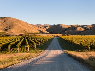 vineyards in Wither Hills, Marlborough, New Zealand