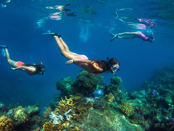 Snorkelling in Fiji Islands, Oceania