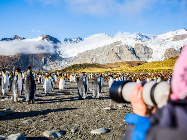 Photography in Gold Harbour, South Georgia