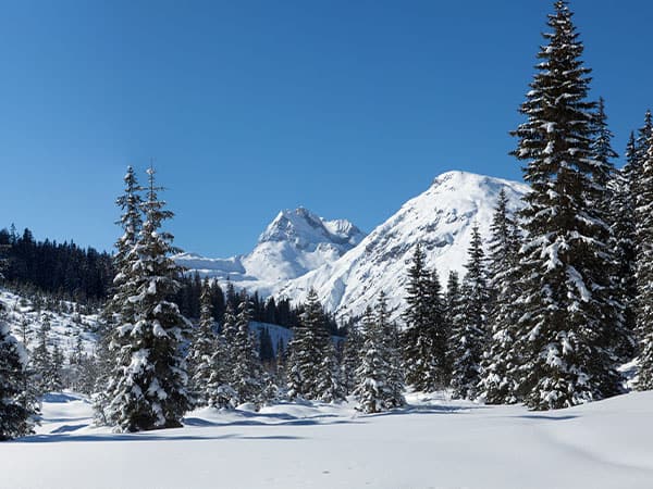 Zugertal Valley. Austria
