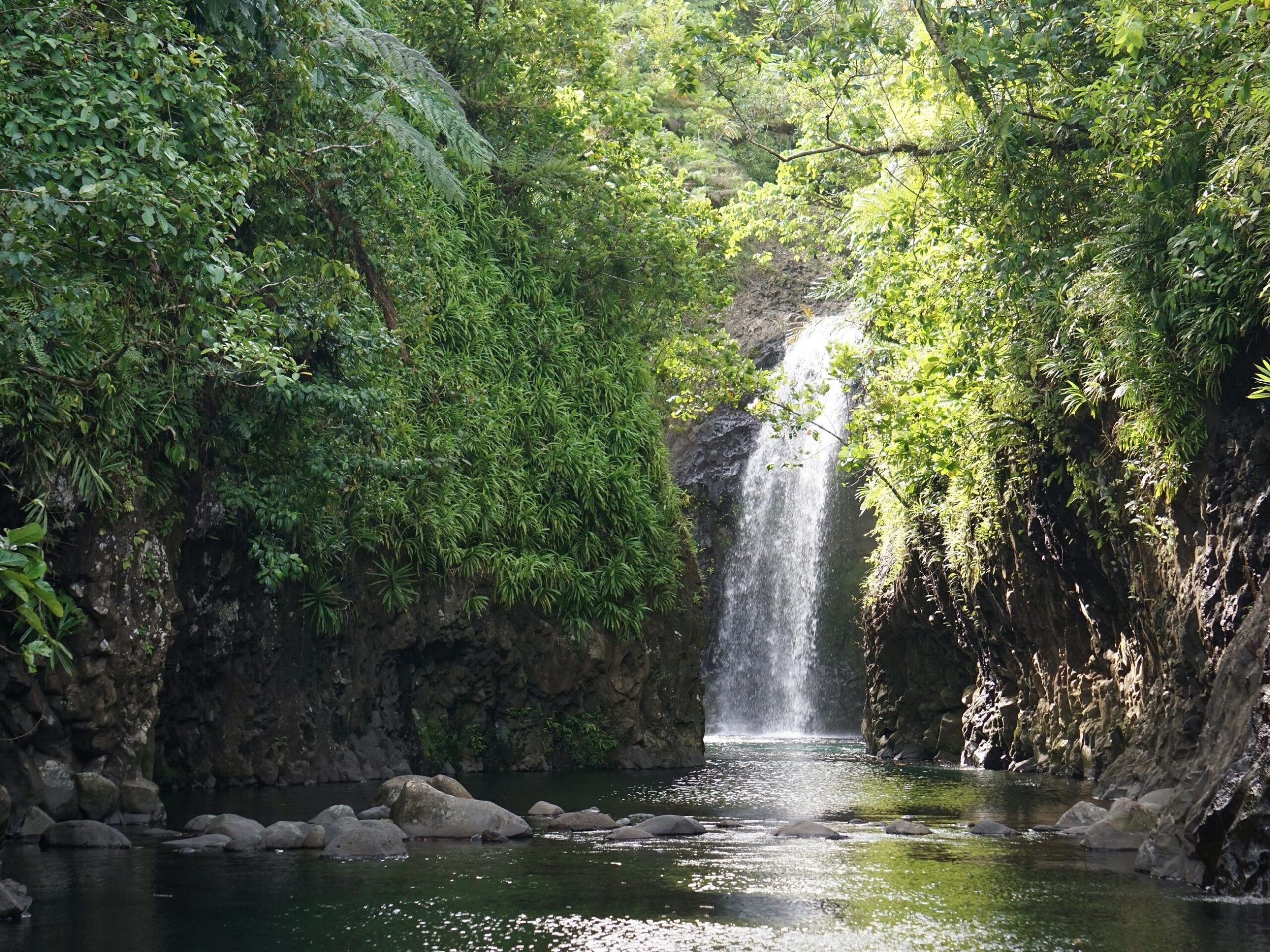 Wainibau Falls, Taveuni&nbsp;