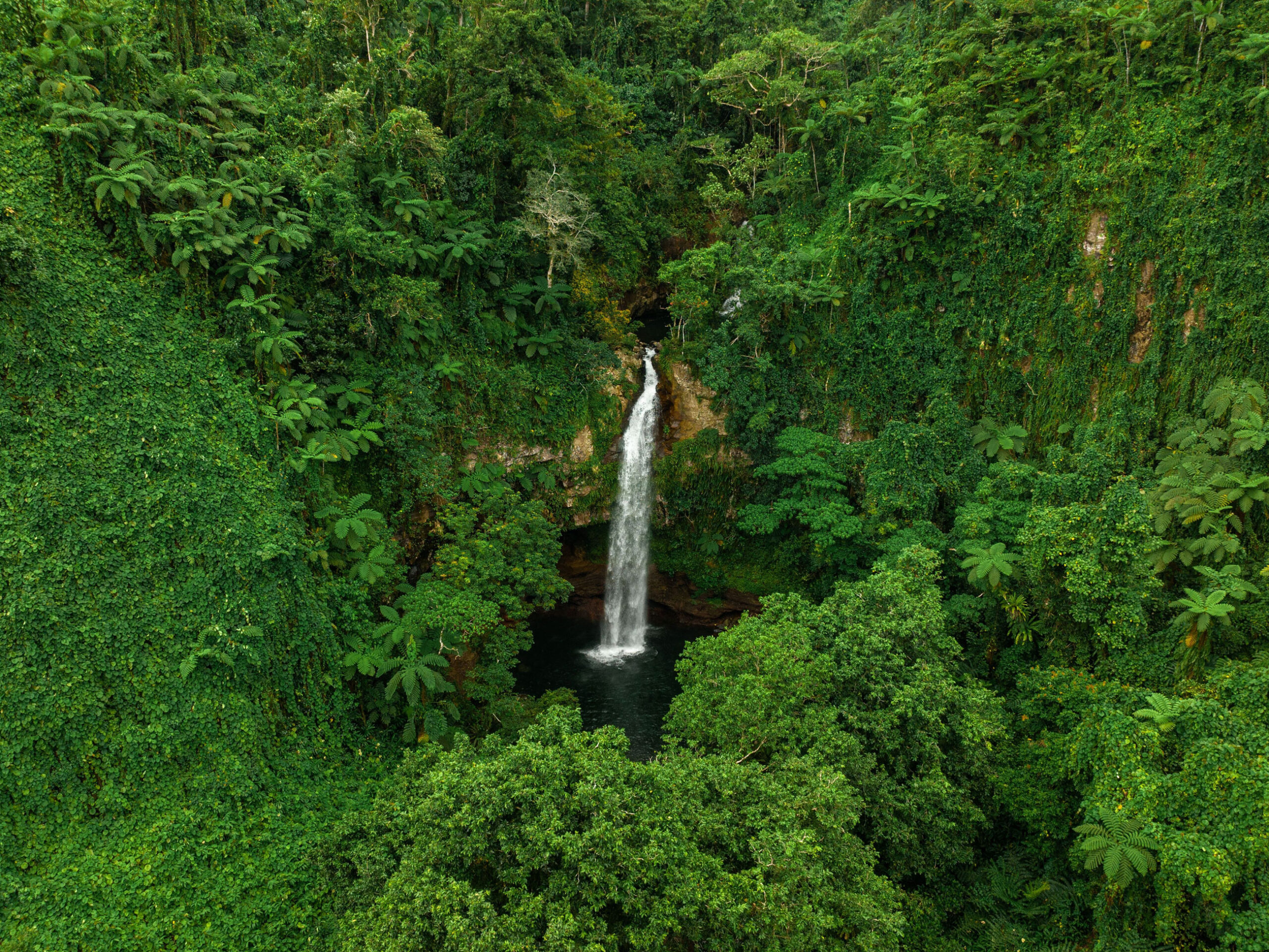 Tavoro Waterfalls (Bouma Falls), Taveuni&nbsp;