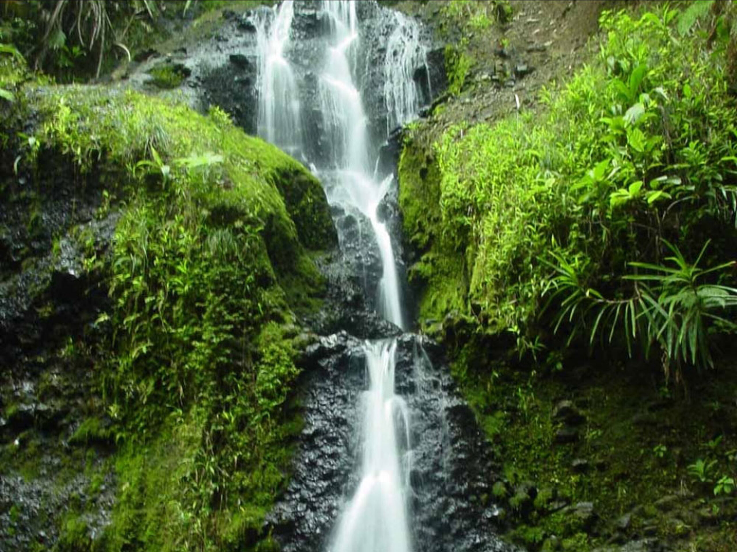 Waisila Falls, Viti Levu