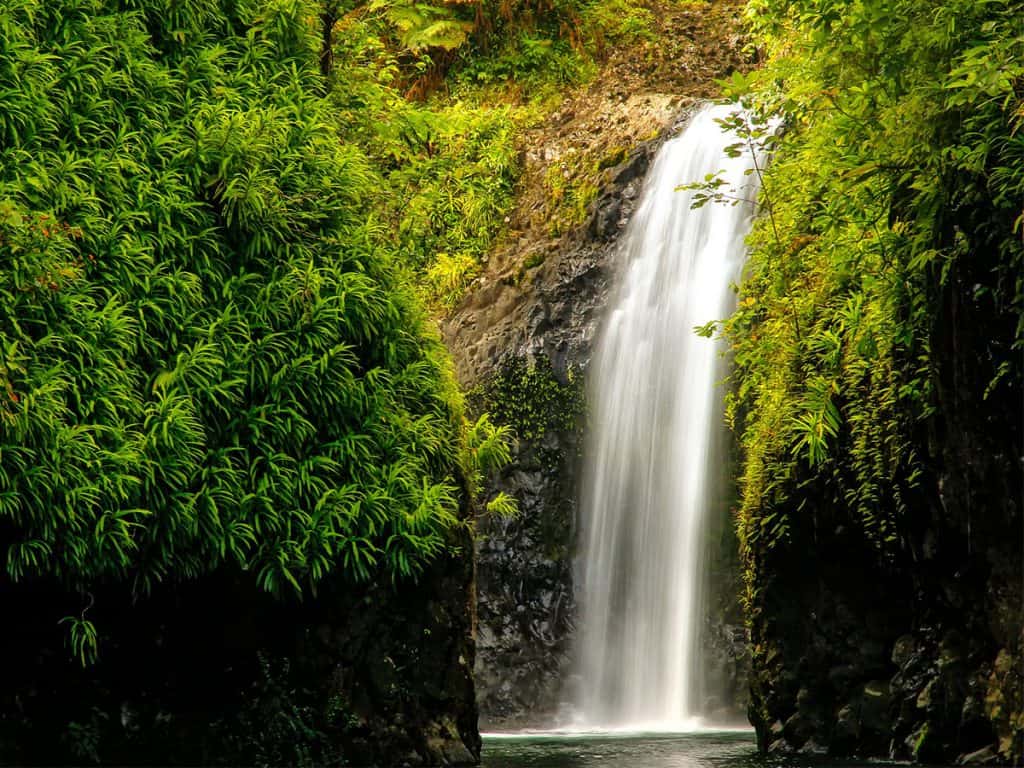 10 magnificent waterfalls in Fiji worthy of a hike - International ...