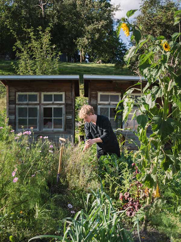 Casa Caminada head chef doing the daily harvest at the garden. (Image: Gaudenz Danuser)