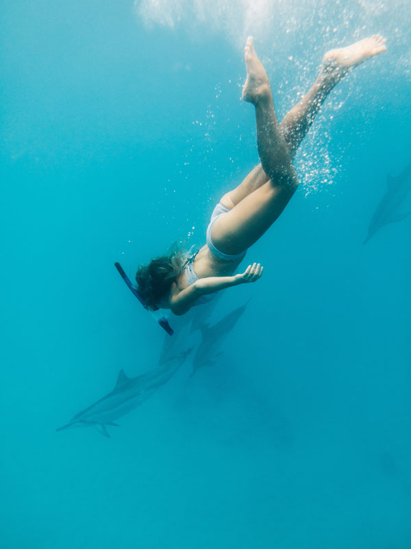 Snorkel with spinner dolphins in Hawaii