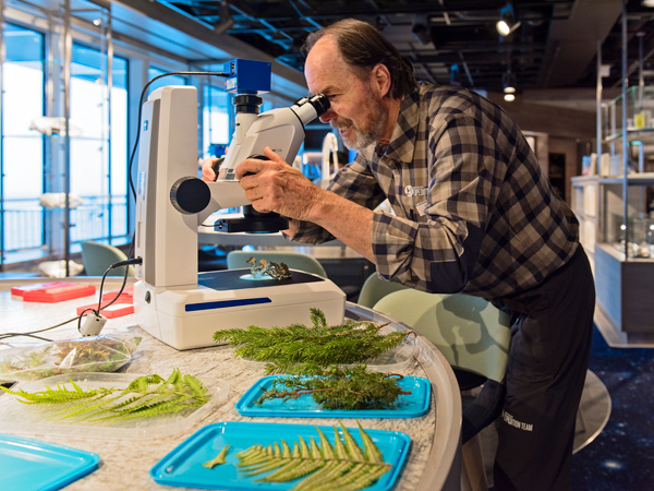 A man inspecting greenery under a microscope