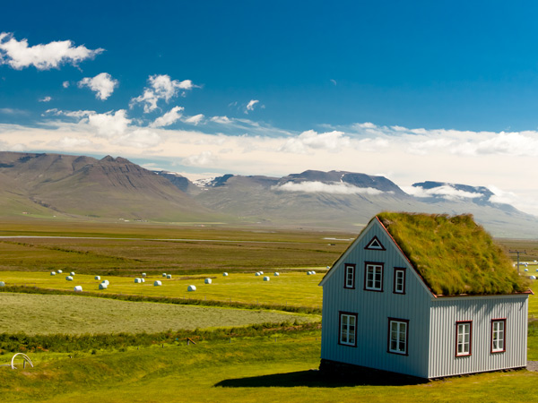 Old farm with mossy roof and typical Icelandic landscape