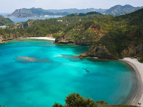 Ogasawara Islands, Japan's natural wonders