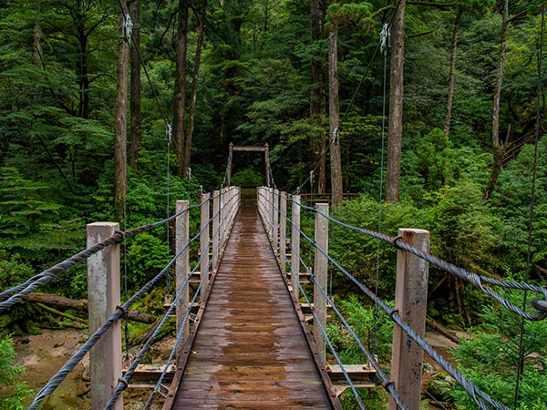 Walking in Yakushima, Japan