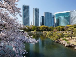 Hama-rikyu Gardens, Tokyo