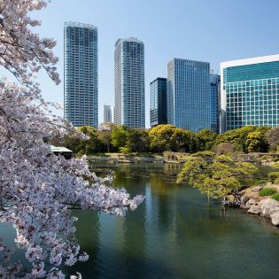 Hama-rikyu Gardens, Tokyo