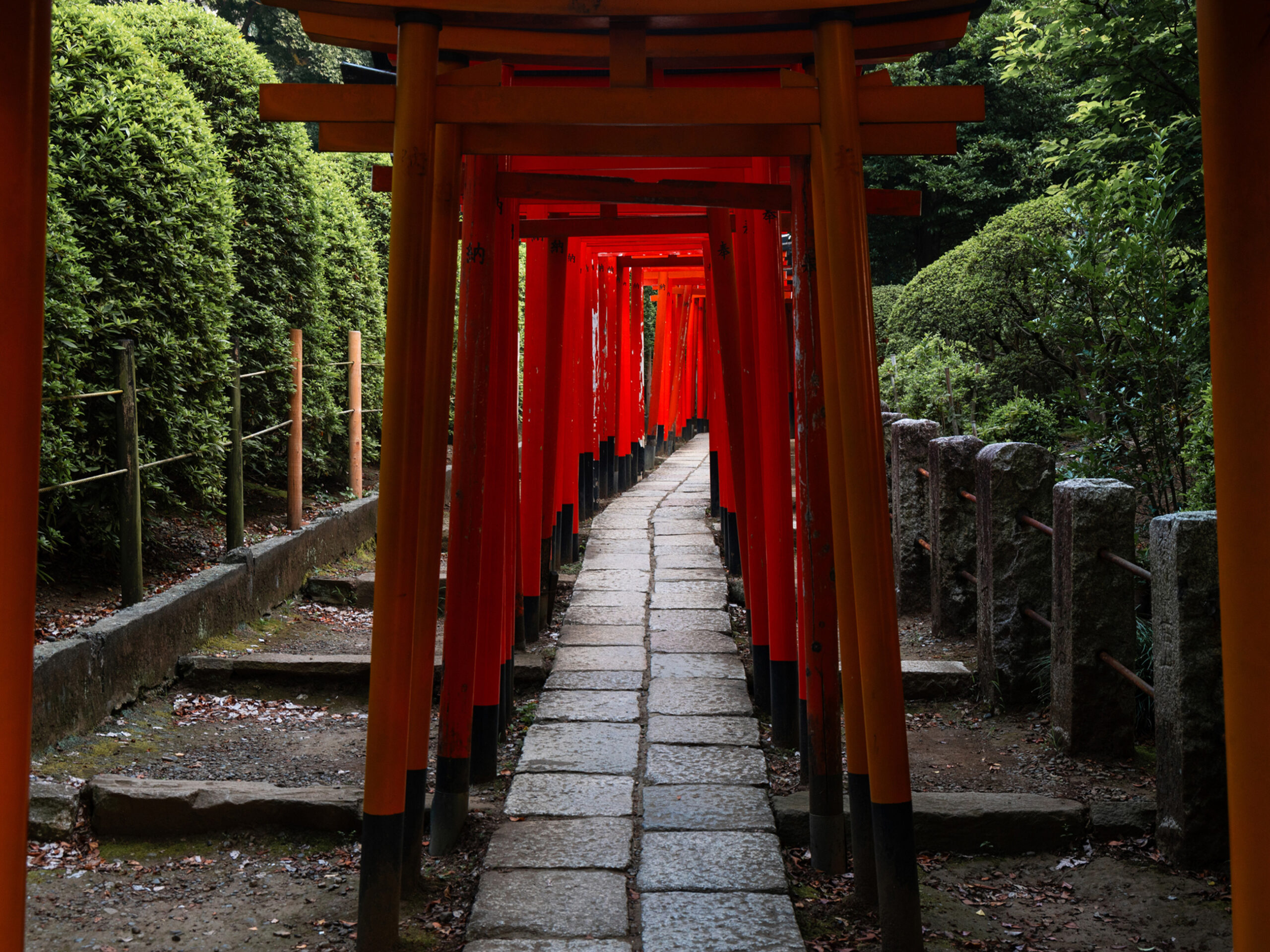 Nezu Shrine in Tokyo