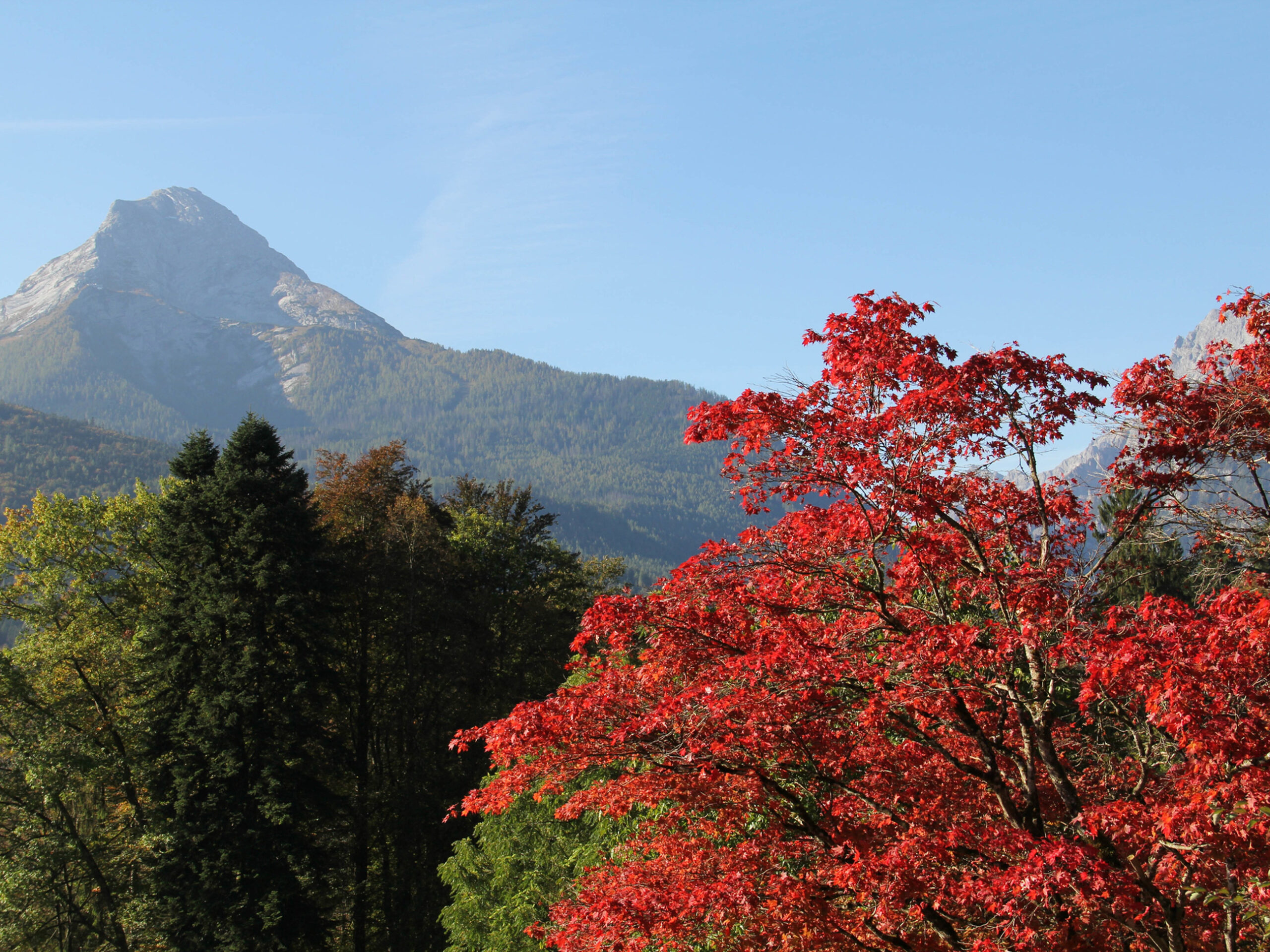 Mt Takao in Hachioji, Japan